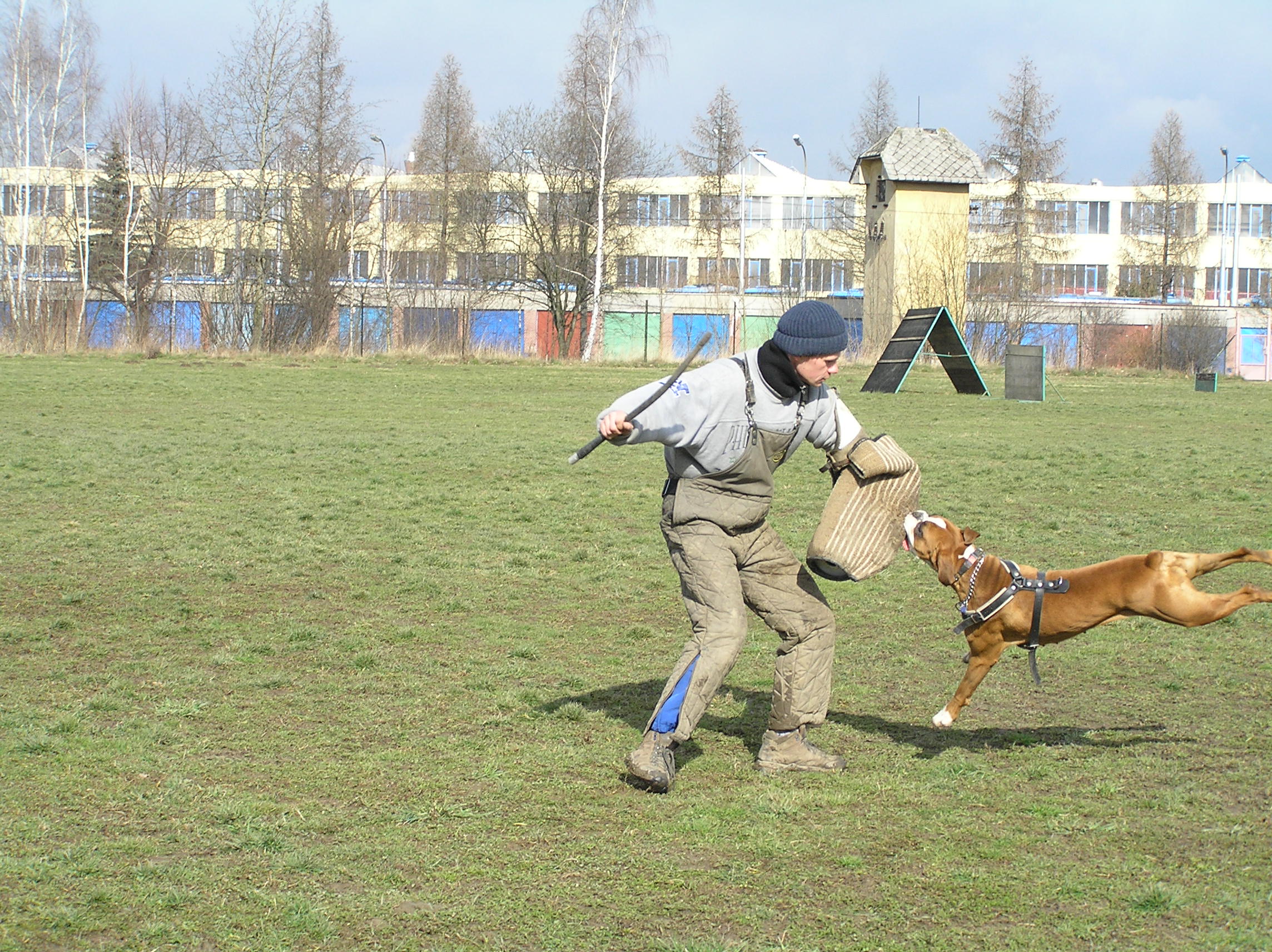 boxerka Lucy versus Martin Uřičář