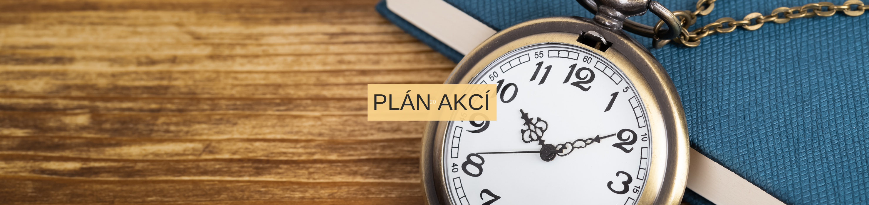 /img/picture/665/plan_akci.png